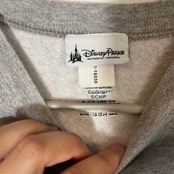 Hanes Disneyland Disney Parks Splash Mountain Grey  Crewneck Size S - Picture 6 of 10